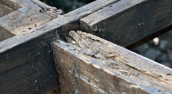 rotting wood decks stairs